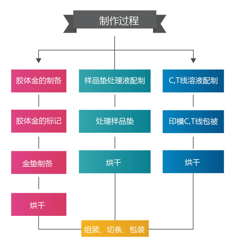 膠體金試紙條的制備過程 膠體金試紙條的制備過程