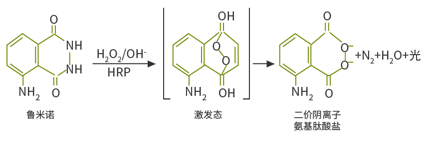 魯米諾發光原理