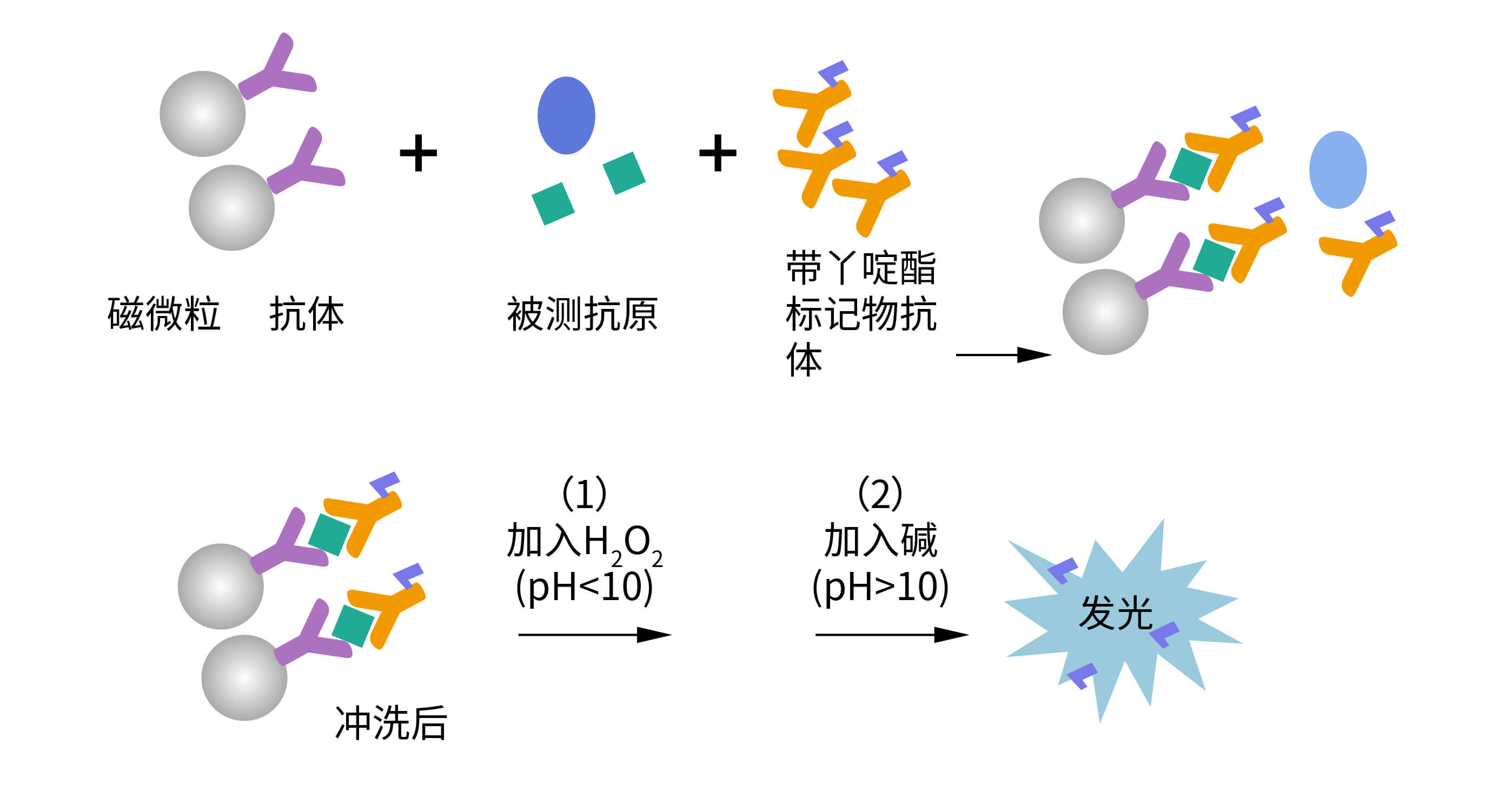 化學發光檢測平臺