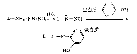 重氮鹽偶聯法 重氮鹽偶聯法