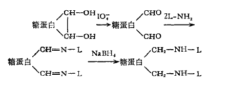過碘酸鹽氧化結合法 過碘酸鹽氧化結合法